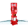Vertical Multistage Pump Unit